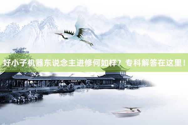 好小子机器东说念主进修何如样？专科解答在这里！